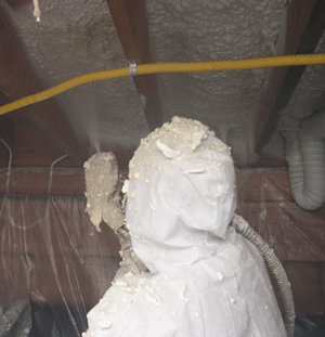 Stuart FL crawl space insulation